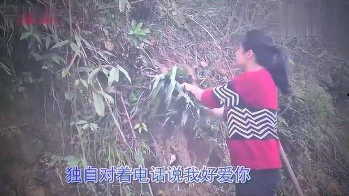 天之大视频,揭秘宇宙奥秘的视觉盛宴