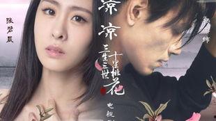 凉凉歌曲视频,穿越时空的旋律，唤醒回忆的泪滴