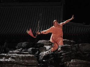 少林武功视频,揭秘古老武术的传承与魅力