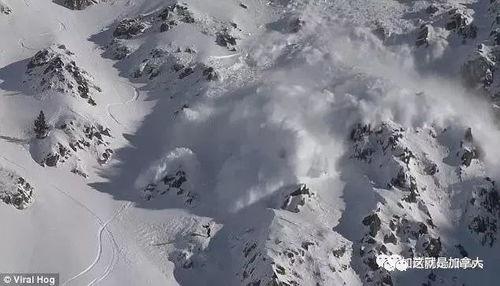 雪崩视频,揭秘极端天气背后的自然奇观与科学奥秘