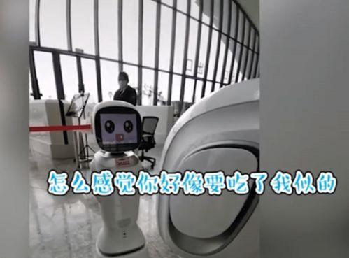 机器人搞笑视频,笑点满满，欢乐无限！