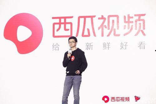 西瓜视频老板,引领短视频新潮流，打造内容生态新格局