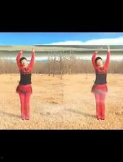 广场舞歌曲大全视频,动感旋律，舞动人生