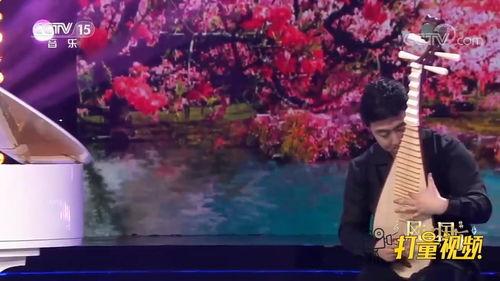 琵琶独奏视频,古韵悠扬，指尖舞动千年风情