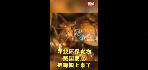捉蝉视频,捕捉夏日时光的童年记忆