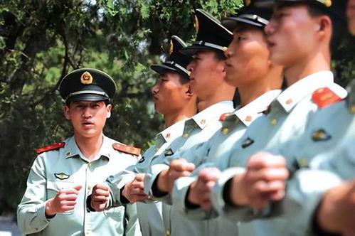 退伍感人视频,致敬英勇战士的感人瞬间