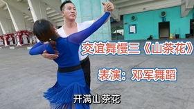 交谊舞慢四视频