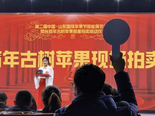 拍卖会视频,视频回顾