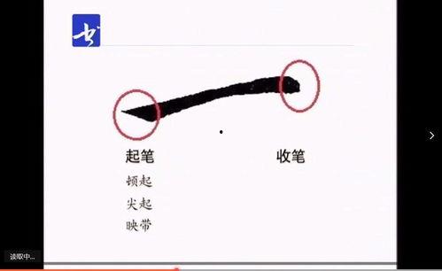 书写姿势视频,揭秘高效学习与办公的秘诀