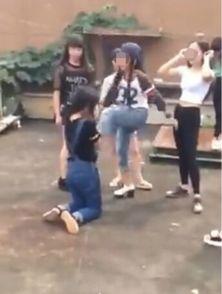 校园打架视频,一场视频引发的冲突风波