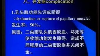 循环系统视频,视频带你探索心脏与血管的奥秘