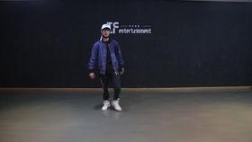 狐狸舞蹈视频,探寻自然界的优雅舞者