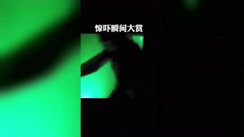 惊吓视频,揭秘惊吓视频背后的惊心动魄