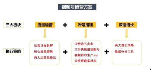 视频运营方案,打造爆款内容，提升品牌影响力