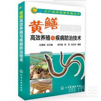 养殖黄鳝视频,从视频中学养殖技巧