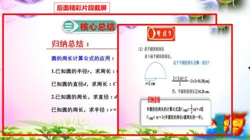 七下数学视频,探索数学奥秘，提升解题技巧