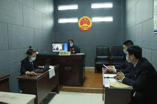 法院庭审视频,还原案件真相，正义得以彰显