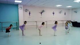 舞蹈小燕子视频,小燕子舞姿飞扬