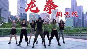 龙拳视频,传承武术精髓的激情演绎