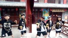 龙拳视频,传承武术精髓的激情演绎