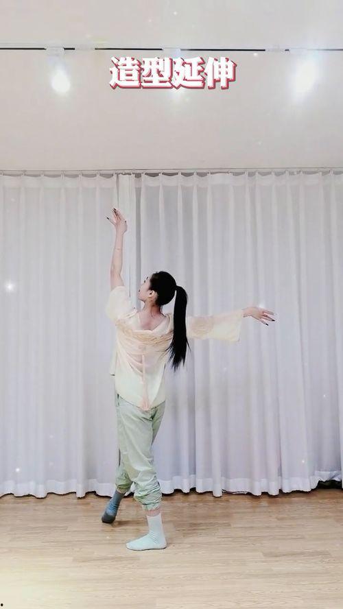 零基础舞蹈教学视频,舞蹈教学视频带你轻松舞动人生