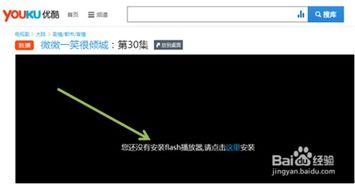 网页看不了视频,探究原因及解决方案
