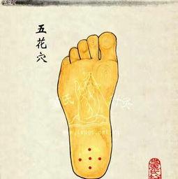董氏奇穴视频