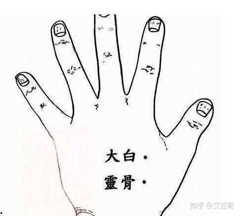 董氏奇穴视频