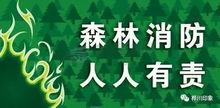 防火视频,揭秘火灾预防与应急处理全攻略