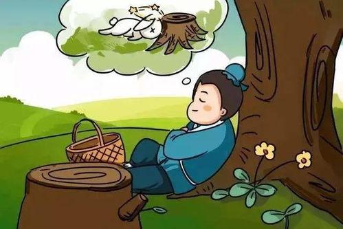 守株待兔 视频,揭示机遇与努力的辩证关系