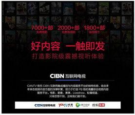 999热视频,揭秘热门话题背后的真相与观点