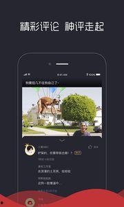 手机看小视频,精彩瞬间一网打尽