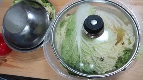 泡菜制作视频,家常美味，轻松掌握的韩国传统发酵美食