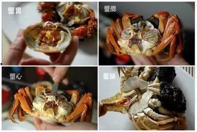 吃螃蟹视频,一场视觉与味蕾的双重盛宴