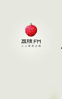 下载荔枝视频,探索精彩瞬间，尽享视听盛宴