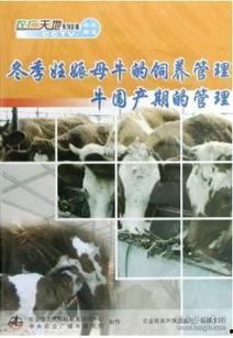 精牛视频,揭秘短视频制作背后的秘密与技巧
