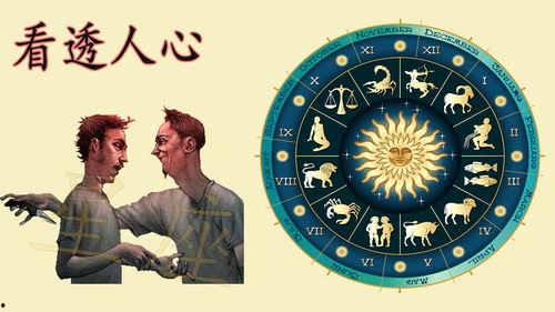 星座讲解视频,星座讲解视频精华概览