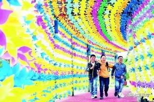 大风车视频,探寻童年记忆中的旋转梦想