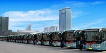 合肥公交视频,穿梭城市脉络，见证日常出行变迁