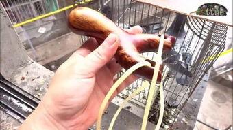 做弹弓视频,打造完美弹弓视频攻略