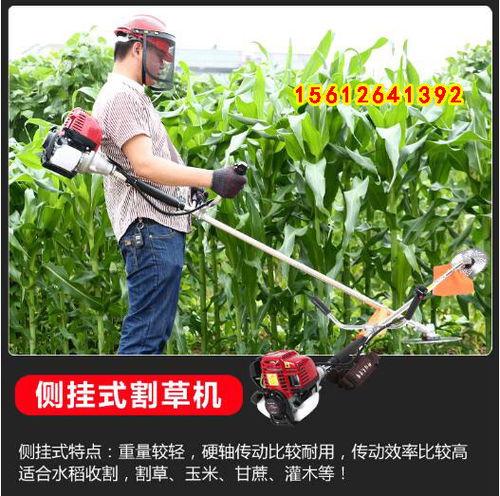 除草视频,一招搞定！视频揭秘神奇除草技巧