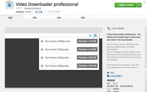 chrome视频下载,轻松实现视频一键保存