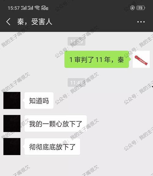 91秦先生视频在线,揭秘网络红人的魅力与影响力