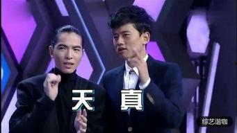 谁是卧底视频,揭秘谁是卧底背后的惊心动魄