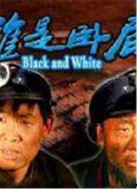 谁是卧底视频,揭秘谁是卧底背后的惊心动魄