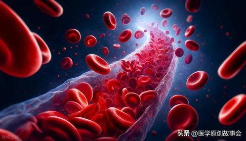 血管堵塞视频,揭秘健康隐患与防治之道