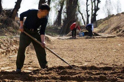 农民种地视频,农民种地视频背后的辛勤与希望