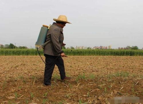 农民种地视频,农民种地视频背后的辛勤与希望