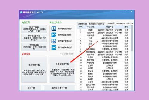 视频素材采集,视频素材背后的故事与情感