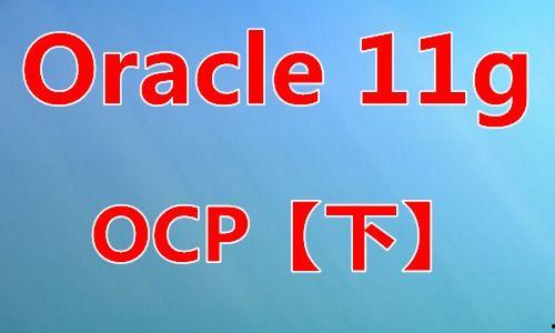 oracle视频,揭秘数据库管理的奥秘与技巧
